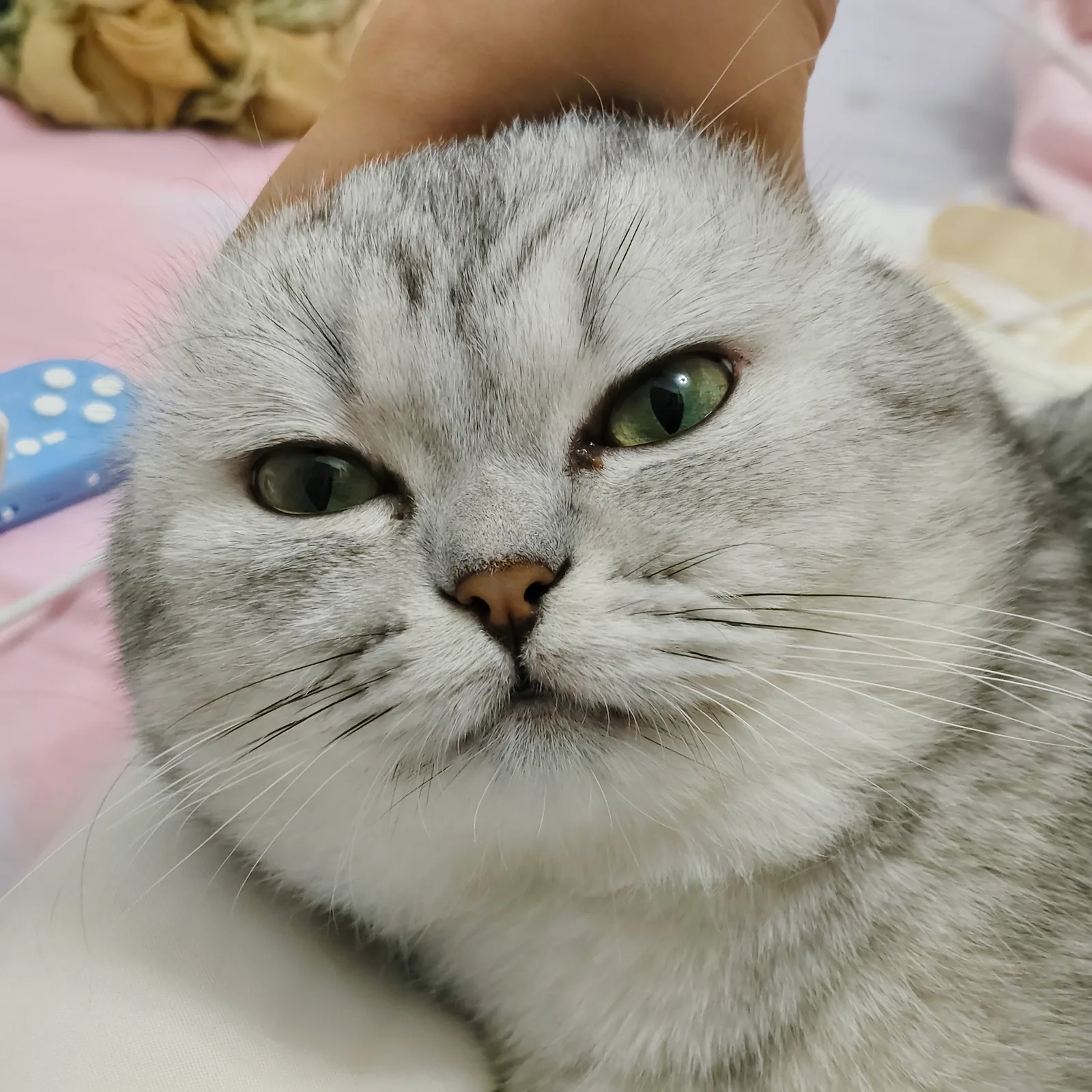 Meiyou, photo from Oct 3, 2026